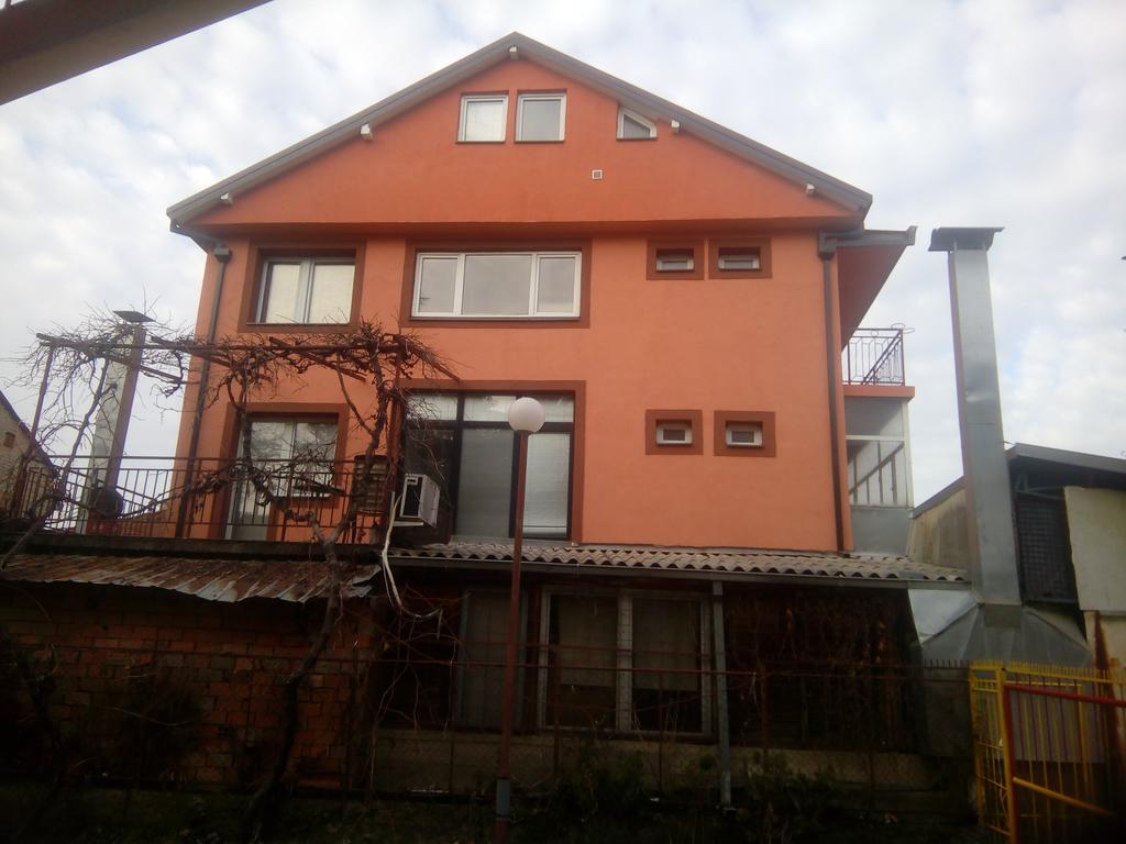 Vila Dule Ohrid Exteriör bild